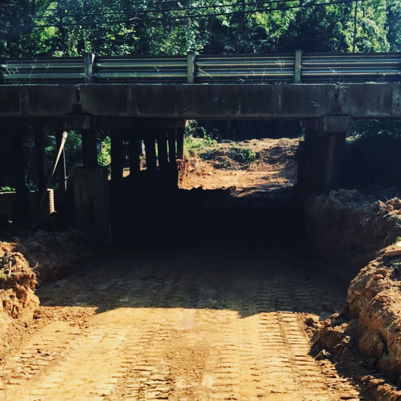 AUGUST 2019: Significant clearing of path under Gillsbrook Drive.