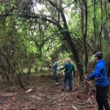 JUNE 2019: Initial clearing with Duke Energy staff volunteering their time.