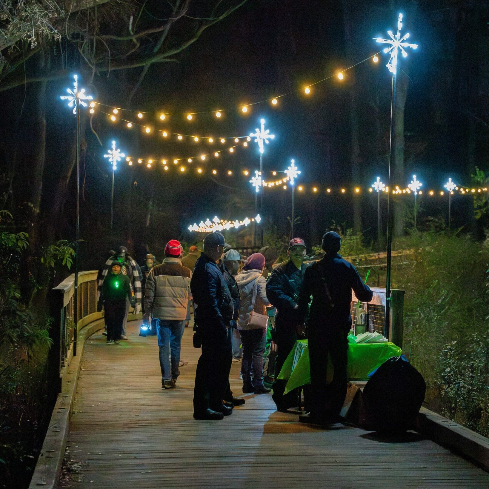 Lights on Greenway